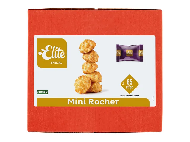 Koekjes Elite mini rocher kokosrotsje 85 stuks