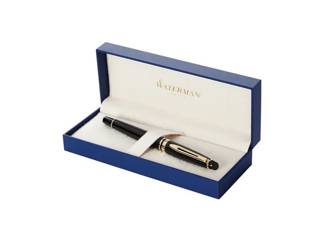 Stylo plume Waterman Expert Noir Laqué GT Fin encre bleue