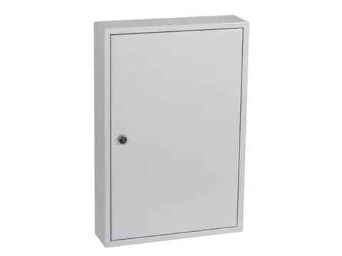 sleutelkast,64haak,HxBxD 450x300x80mm,romp grijs,front grijs