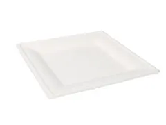 Bord Bagasse 1-vaks 26x26cm Wit doos 500 Stuks