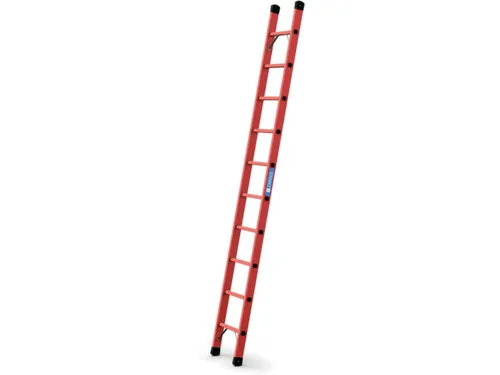 Aanlegladder Bomen/sporten Glasvezel L 2 99M 10Sporten