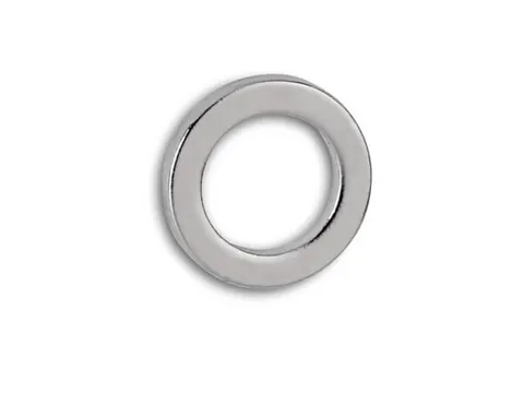 Neodymium Ringmagneet 12mm 0.5kg 10 Stuks