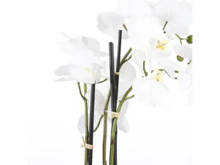 Kunstplant Mica Phalaenopsis orchidee wit in plastic pot 79x51cm - 3