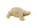 Figuur Décopatch schildpad 11x8.5x3.5cm