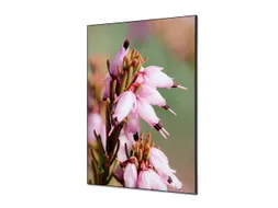 Wanddecoratie Textiel Set A1 Roze Bloem Erica