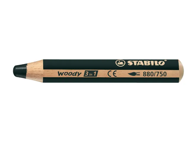 Kleurpotlood Stabilo Woody 880 3 In 1 Zwart