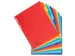 Tabbladen glanskarton 225g 12-delig A4 maxi Assorti
