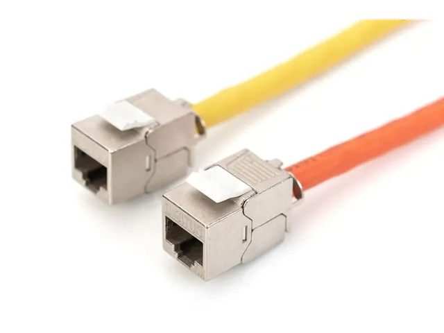 Digitus Cat 6A Keystone Modul