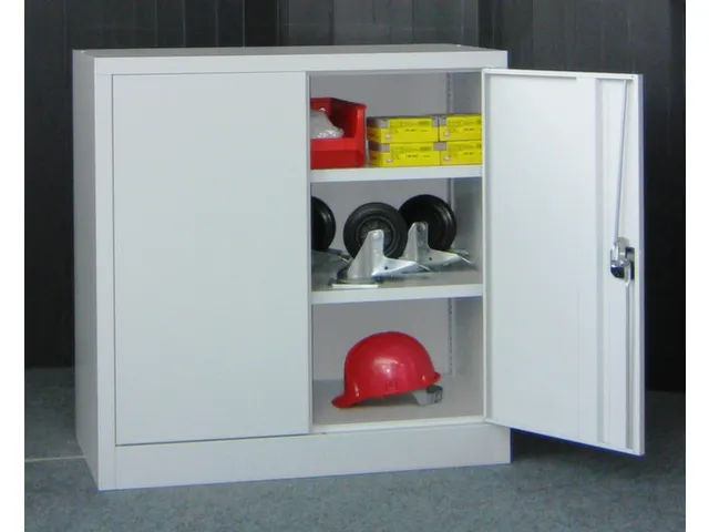 Grootvolumekast Openslaande Deuren 1000x1500x600mm 2 Legborden Ral7035