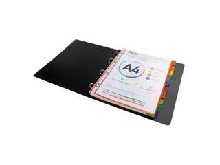Tabbladen in glanskarton 220g 10-delig A4 maxi Assorti - 2