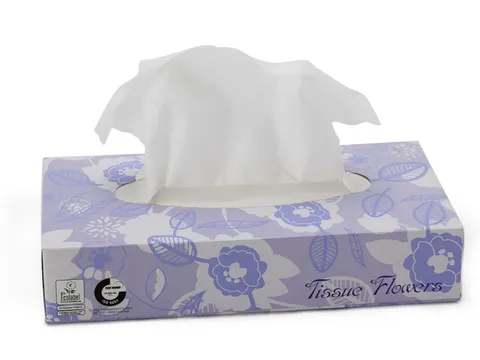 Facial tissues Celtex 2-laags 100 vel doos a 40 dispenser