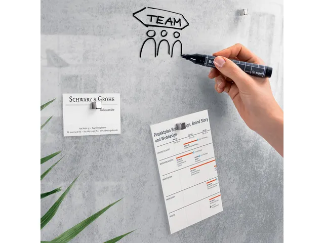 Glas Magneetbord Sigel Artverum Botanic 130x55cm