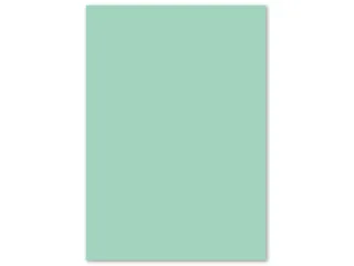 Papier Kangaro A4 120 grams pastel groen pak 100 vel - 3