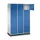 grootvolume-lockersysteem,RAL 7035/RAL 5010,HxBxD 1950x1220x500mm