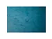 Klasseerdoos glansk. rug 60mm A4 turk.