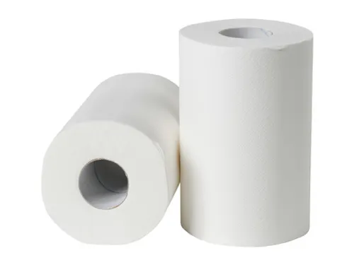 Poetsrol mini cellulose 2-laags 19 cm 12 x 72 meter in folie FSC