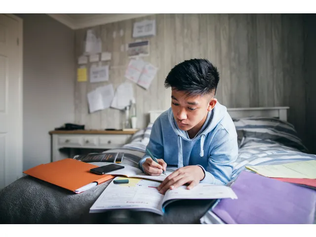 Vulpen Schneider Xpect space blue