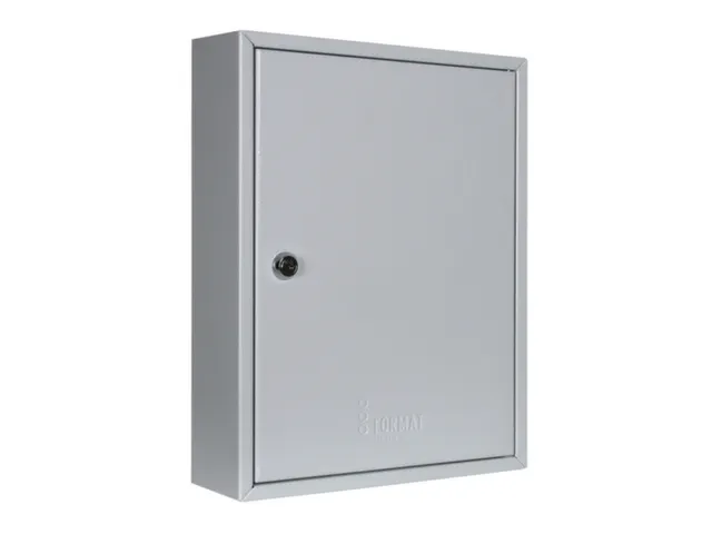 Sleutelkast Hxbxd 350X270X80Mm 42Haakjes 1Deur Ral7035