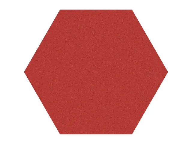 Prikbord Zeshoek Rood kleur 2210 Bulletin Paneel Ø 60cm frameloos