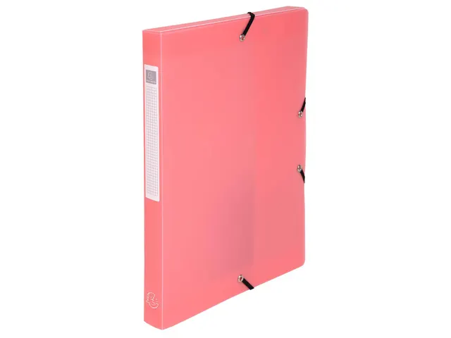 Boite de classement Exabox Dos 25mm Polypropylène 7/10e Chromaline pa