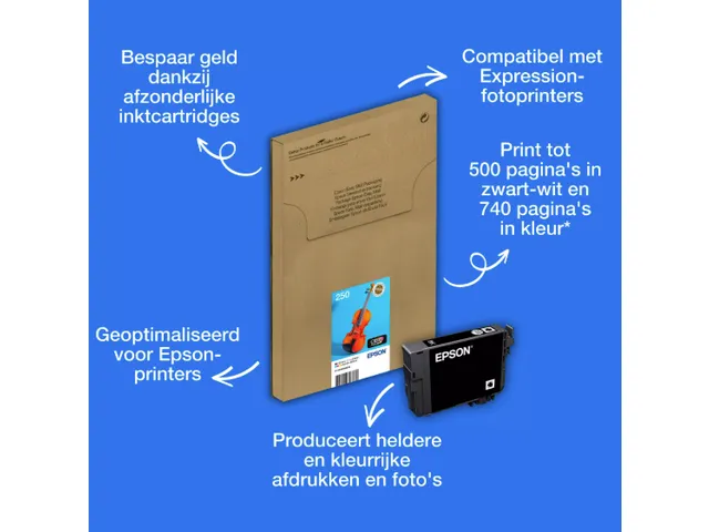 C13T16N84510 EPSON 250 EasyMail XP ink