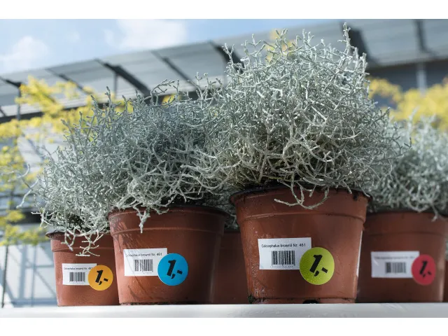 HERMA 4691 Weervaste Folie-etiketten A4 66x33,8mm Wit 600 stuks