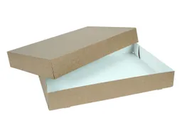 Cateringdoos IEZZY 55cm plasticvrij bruin 10 stuks