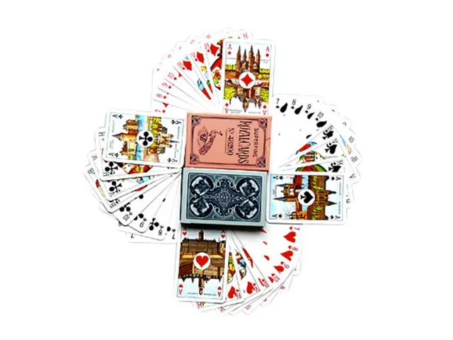 Speelkaarten hondjeskaarten geplastificeerd blauw of roze