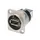 Neutrik - Omkeerbare Usb Geslachtwisselaar (Type Usb A En Usb B) - Ver