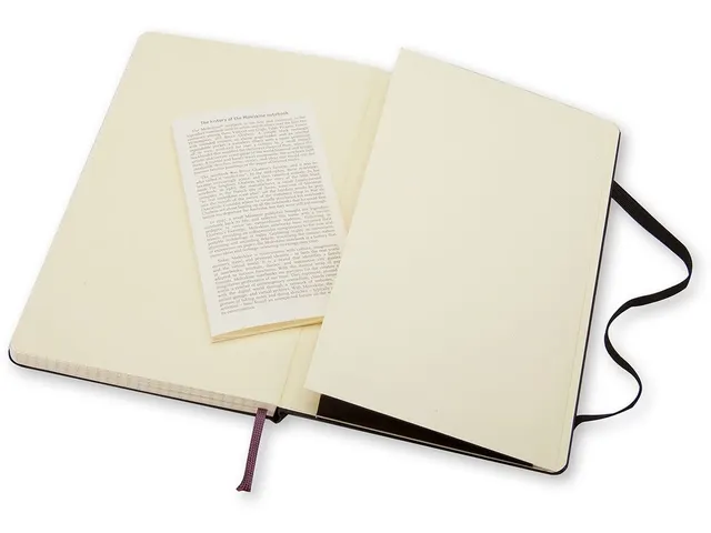 Notitieboek Moleskine large 130x210mm ruit 5x5mm hard cover zwart