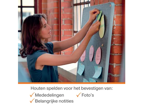 Punaises Nobo hout voor memobord 40 stuks