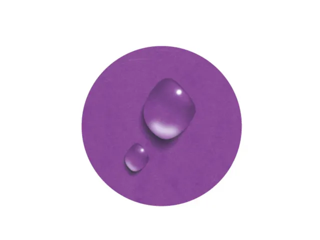 Boîte de classement Iderama dos de 40mm - A4 - Violet