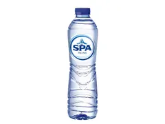 Eau Spa Reine plate bouteille PET 500ml