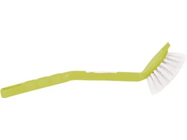 Afwasborstel Plastic Assorti Rood en Groen