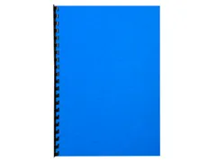 Pk 100Vl Forever Fra Nce Blauw A4 270G