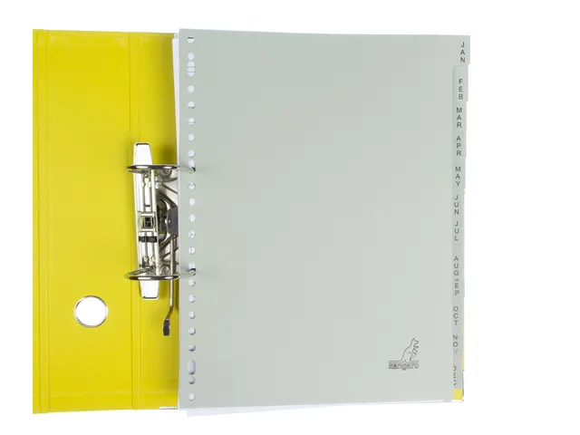 Tabblad Kangaro A4 180 gr grijs karton 23-gaats 12-delig jan-dec