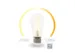Smart Wifi-Ledlamp - Warmwit & Intens Warmwit - E27 - ST64
