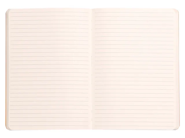 Carnet de notes Rhodia A5 ligné 80 feuilles 90g céladon