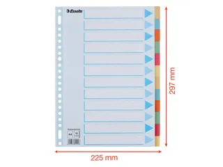 Tabbladen Esselte Premium A4 12-delig karton 23-rings assorti - 4