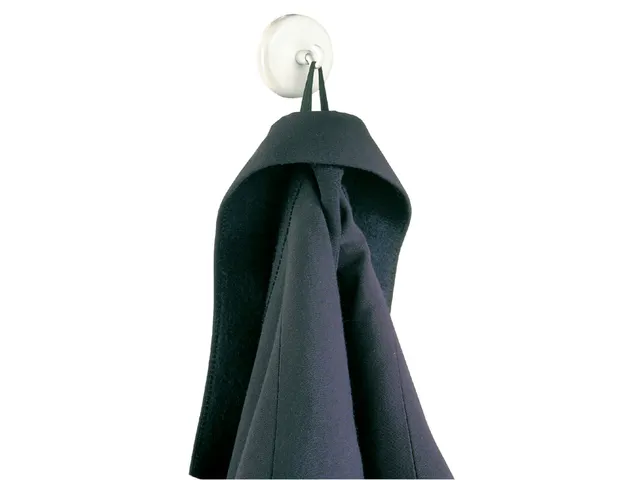 Magneet met haak Dahle 47mm draagkracht 15kg wit