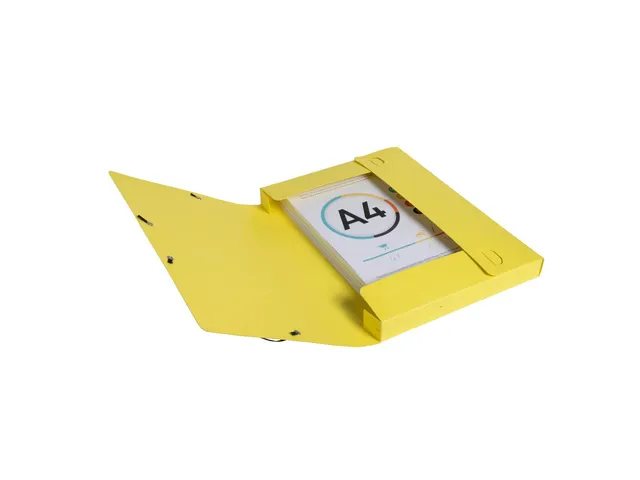 Cartobox Archiefdoos R25mm Aquarel geas