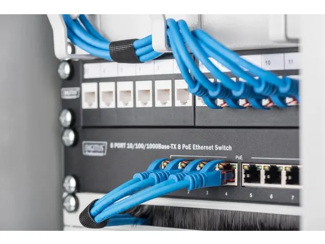 Modulair Patchpaneel 12-poorts Blanco 1U Rackmontage 254mm 10'' Zwart