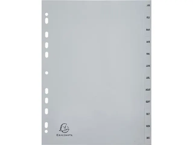 Tabbladen A4 Jan-Dec 12-delig Grijs 11-gaats