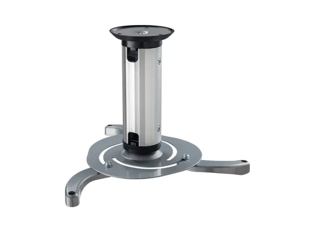 Beamer Ceilingmount 8-15Cm High .