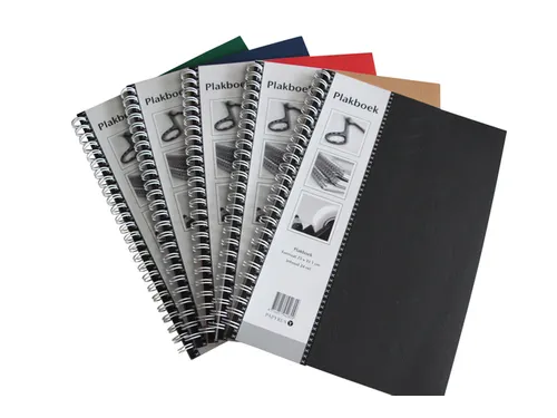 Plakboek Papyrus 400x280mm 40vel Assorti