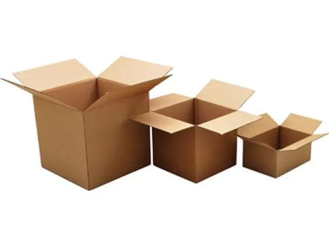 Verzenddoos dubbele golf 350x350x200mm bruin