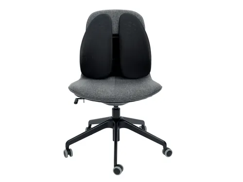 Rugsteun Kensington smartfit zwart