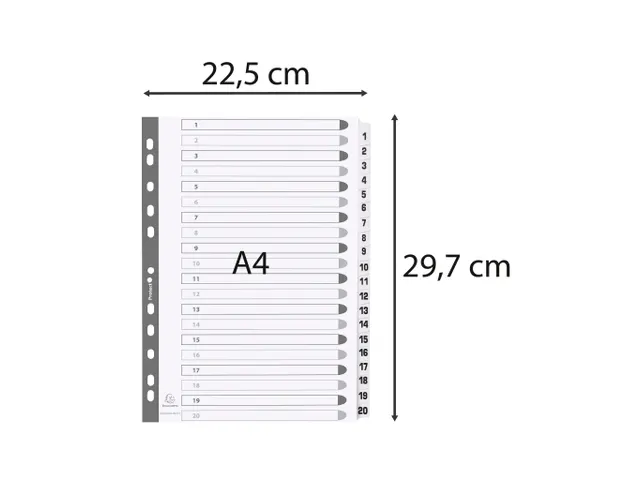 Bedrukte tabbladen Karton geplastificeerde tabs 20-delig 1-20 A4 Wit