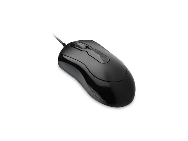 Mouse-IN-A-Box EQ Muis EQ Zwart