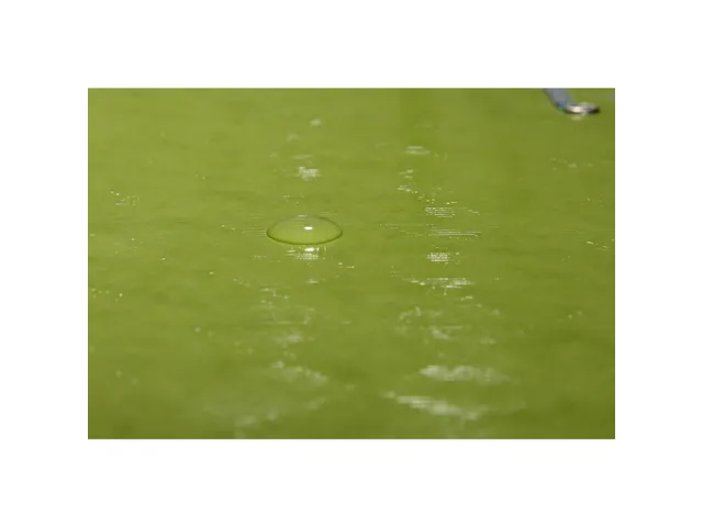 Elastomap 1928 3klep Max Cap A4 anijs